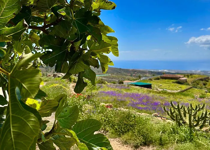 Casitas - Casa Higo Σπίτι διακοπών *