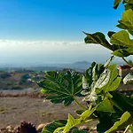 Casitas - Casa Higo Granadilla de Abona