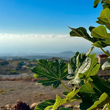 Casitas - Casa Higo غراناديا دي أبونا