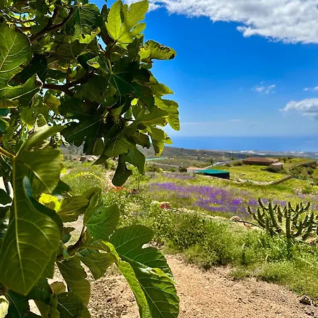 Casitas - Casa Higo 別荘 *