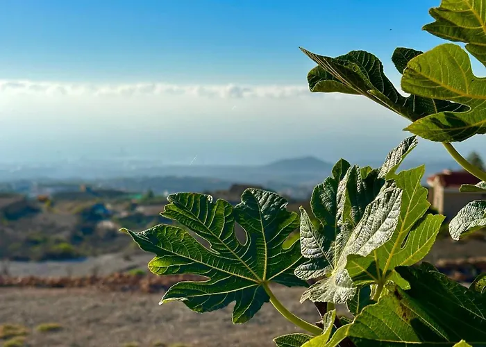 Casitas - Casa Higo Granadilla De Abona